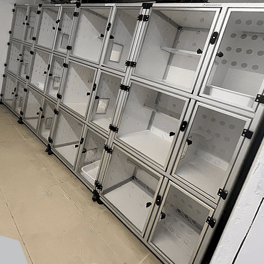 Kedi Yatış